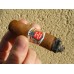 Hoyo de Monterrey Epicure No. 2 - 25 cigars - Cuban cigars
